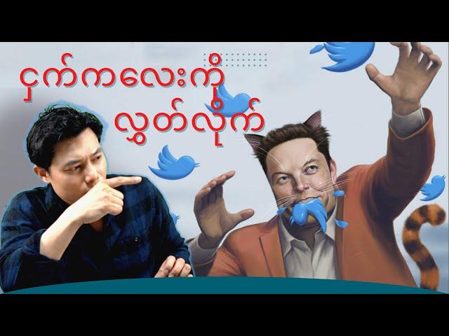 Elon Musk နှင့် Twitter (နောက်ကွယ်မှ အကြောင်းအရာများ)