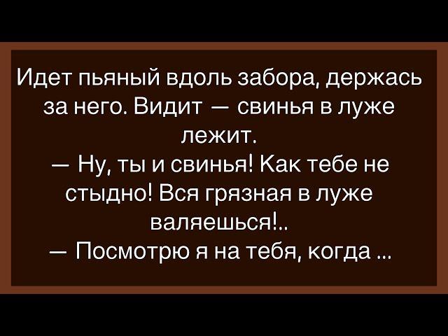 Как У Мужа С Женой Вышел Конфуз!Сборник Смешных Анекдотов!Юмор!Настроение!