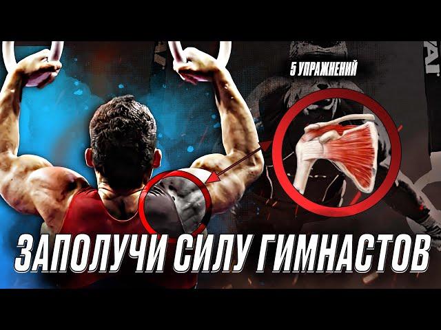 ВОТ ПОЧЕМУ ГИМНАСТЫ ТАК СИЛЬНЫ. ТОП 5 УПРАЖНЕНИЙ!