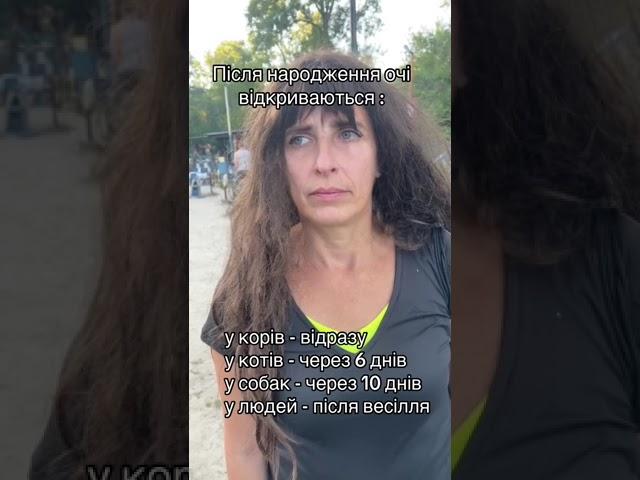 Вывод, свадьба нам не нужна