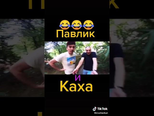 Павлик и каха