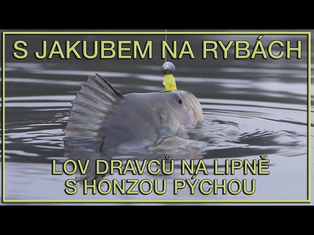 S Jakubem na rybách - Lov dravců na Lipně s Honzou Pýchou