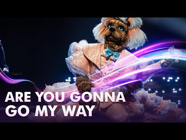 Labradoodle - ‘Are You Gonna Go My Way’ | The Masked Singer | Seizoen 4 | VTM