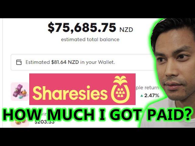 How much Dividends I got in July 2024  Sharesies NZ Dividend Portfolio