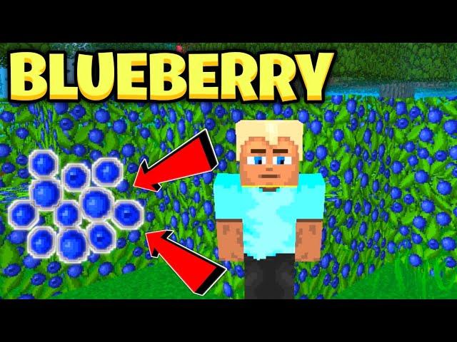 🫐 HOW TO COLLECT BLUEBERRY FROM BUSH LEAVES | @XREALM 