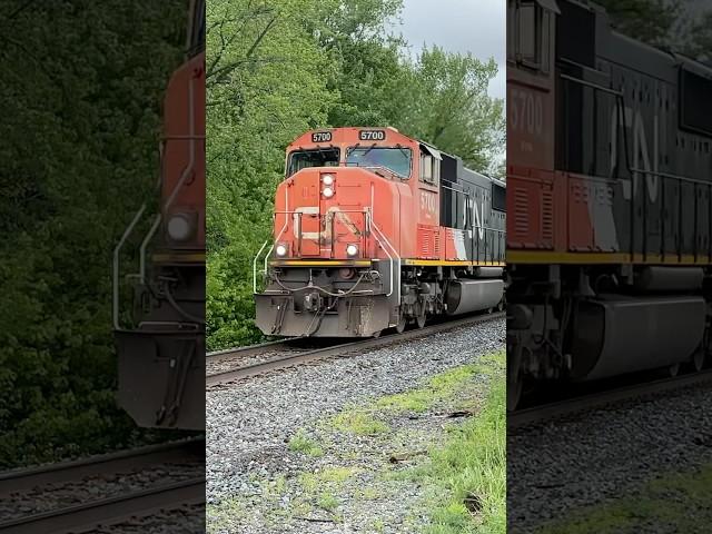 Loud CN in the countryside #canadianrailway #canadiantrain #railfan #railtrack
