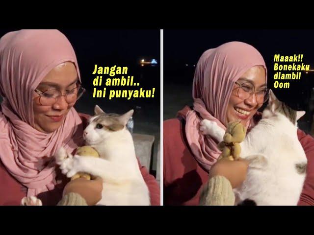 Gemes Banget! Bonekanya Diambil Orang, Kucing Lucu Ini Ngambek & Ngadu ke Majikan! Kucing Yoyo Lucu