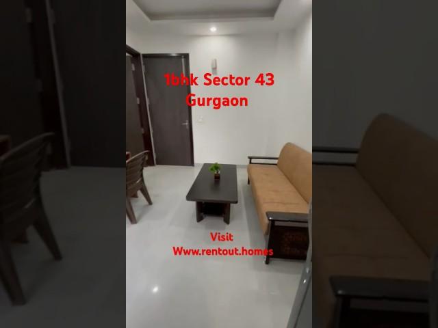 Rent 1bhk in Gurgaon on www.rentout.homes #1bhk #1bedroom #shortsvideo