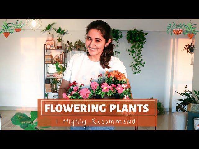 Best Flowering Plants for Indoors and Outdoors & their complete care