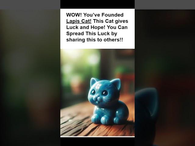 Lapis Cat #Aura #Luck #Hope