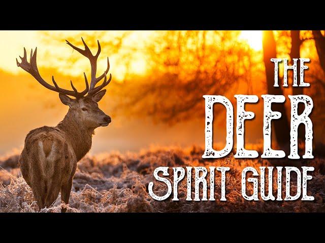 The Deer Spirit Guide - Ask the Spirit Guides Oracle Totem Animal - Power Animal - Magical Crafting