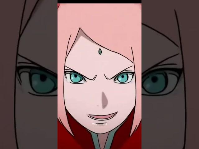 Sakura Chan 