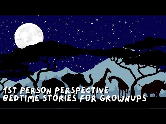 OVER 8 Hours of 1st Person Perspective Bedtime Stories for Grown Ups | No Ads, No Interruptions