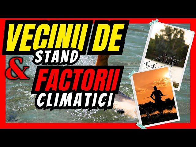 Abordarea CORECTA a unui STAND de PESCUIT in functie de VECINI & FACTORI CLIMATICI - NICMAR Clinceni