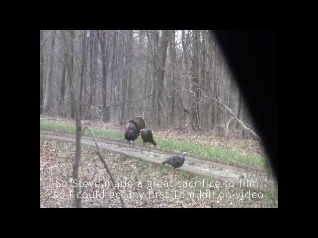 St Elmo Turkey Hunt 2014