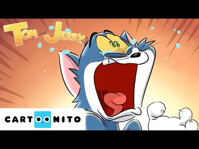 TOM VE JERRY | Bitmeyen Kovalamaca Derleme | #YENİ ÇİZGİ FİLM @CartoonitoTurkiye