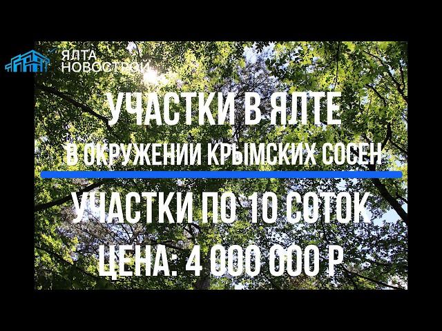 Участки в Ялте в окружении крымских сосен за "Поляной Сказок"