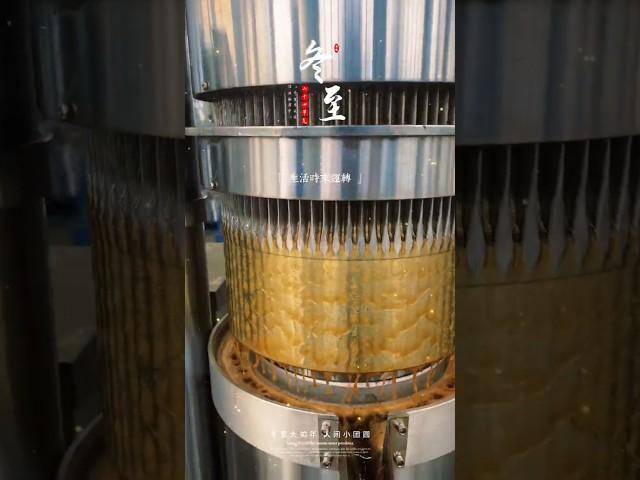 Happy Winter Solstice Festival! oil press machine factory, screw oil press. oil manufacturing.