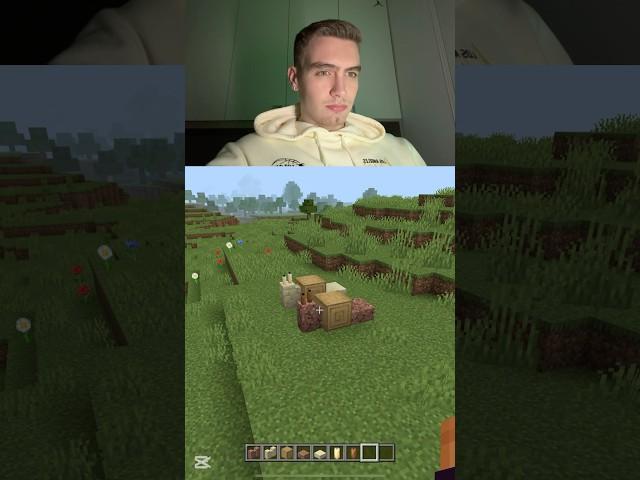 Minecraft - how to build 2 snails