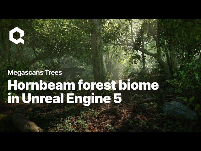 Experience Megascans Trees: European Hornbeam in Unreal Engine 5