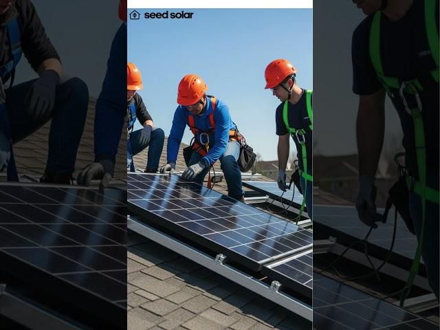 Seed Solar Panels