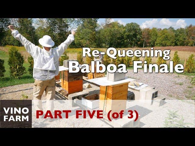 Just Wait... A Beekeeping Lesson
