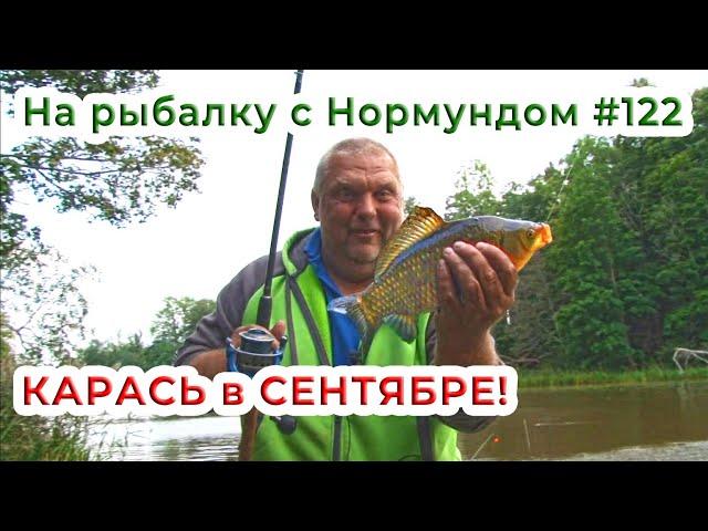 КАРАСЬ в СЕНТЯБРЕ! / На рыбалку с Нормундом #122