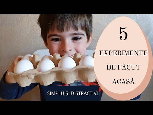 5  EXPERIMENTE uşoare pentru copii folosind OUĂ - video educativ