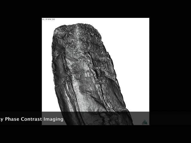 Revealing writing in rolled Herculaneum papyri