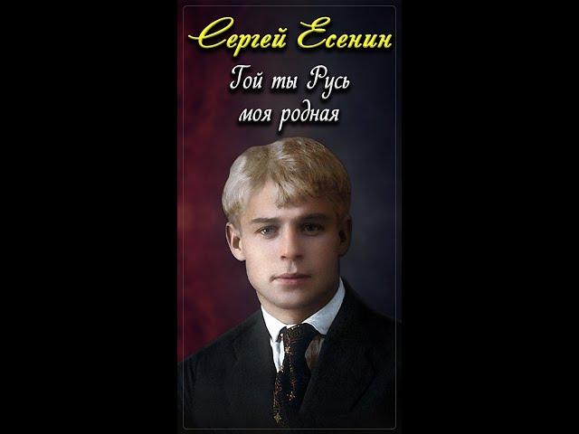Гой ты, Русь, моя родная - Сергей Есенин (читает Александр Злищев) #shorts