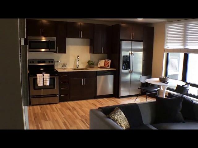 Denver Apartments For Rent - 1 Bed 1 Bath - by Property Managers in Denver