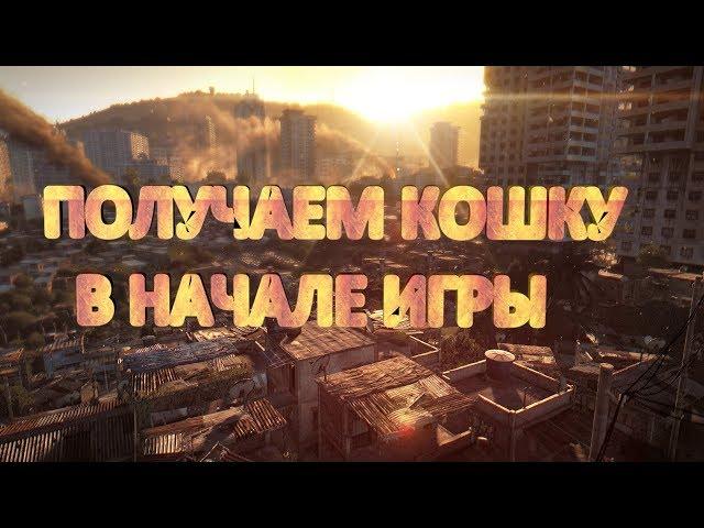 Dying Light Как получить Крюк Кошку в самом начале игры