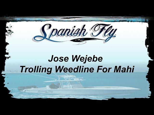 Trolling Weed Line for Mahi Mahi or Dolphin- Spanish Fly TV/ Jose Wejebe