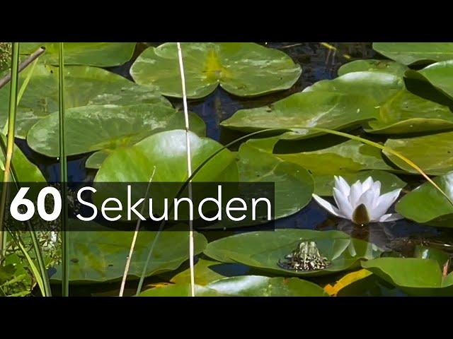 60 Sekunden - Bildungstag Botanischer Garten Berlin