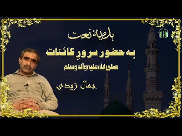 Poetry | Naat | ہدیہء نعت | Jamal Zaidi | Bazm-e-Danish