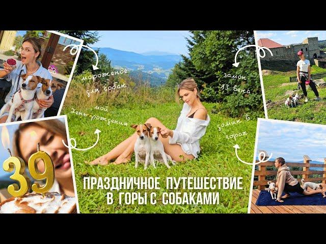 ПРАЗДНИЧНЫЙ DOG VLOG: Мой День Рождения/ Сняли Домик в Горах/ Автопутешествие с Собаками по Польше