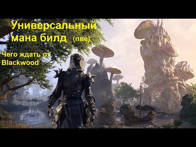 Универсальный мана пве билд! К чему готовиться в Новой главе Blackwood - The Elder Scrolls Online