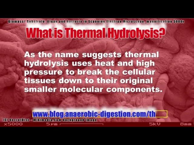 What Is Thermal Hydrolysis - What Is the Definition of Thermal Hydrolysis - Check It Out!