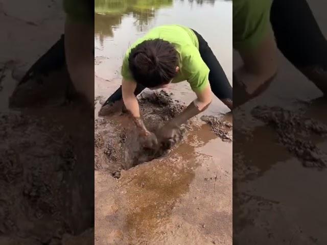 Cute Girl Catching Eel in Mud | Solo eel fishing in China #shorts [#1700]