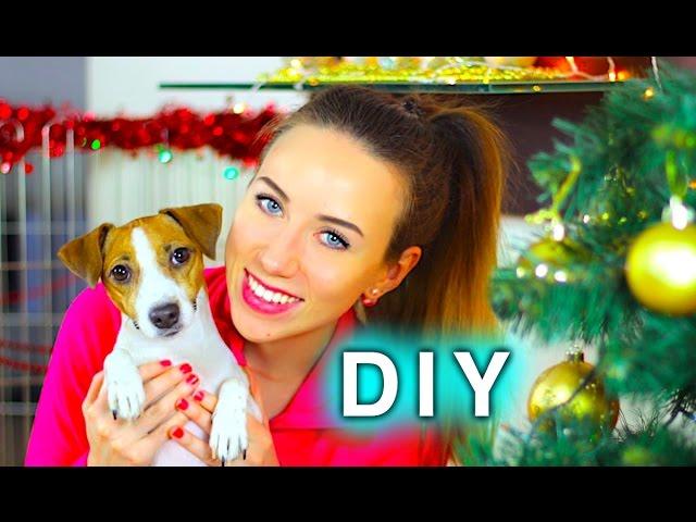 НОВОГОДНИЙ DIY ДЕКОР - ROOM TOUR - УКРАШАЕМ ВОЛЬЕР СОБАКИ И НАРЯЖАЕМ ЕЛКУ | Elli Di Pets