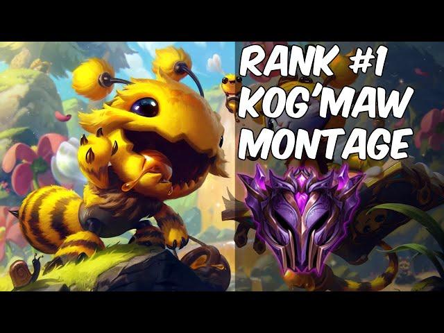 RANK #1 KOG'MAW MONTAGE (Season 11) - League of Legends