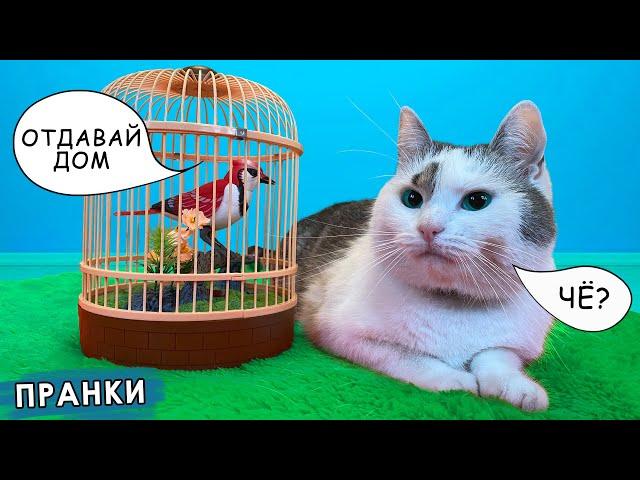 СМЕШНЫЕ РОЗЫГРЫШИ для КОТОВ! КТО ПОСЛЕДНИЙ ПЕРЕСТАНЕТ ПОПАДАТЬСЯ? КОТ МАЛЫШ vs ПРАНК / ЧЕЛЛЕНДЖ