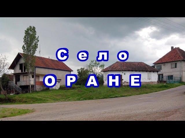 Село ОРАНЕ - Општина Бојник