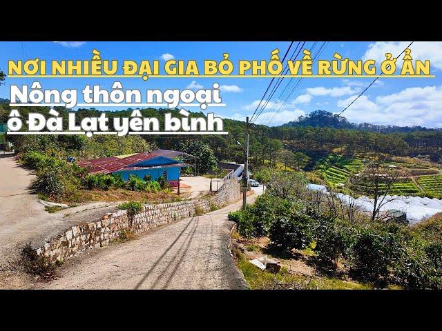 Ngoại ô Đà Lạt nơi nhiều đại gia bỏ phố về rừng ở ẩn. Khí hậu trong lành bình yên.