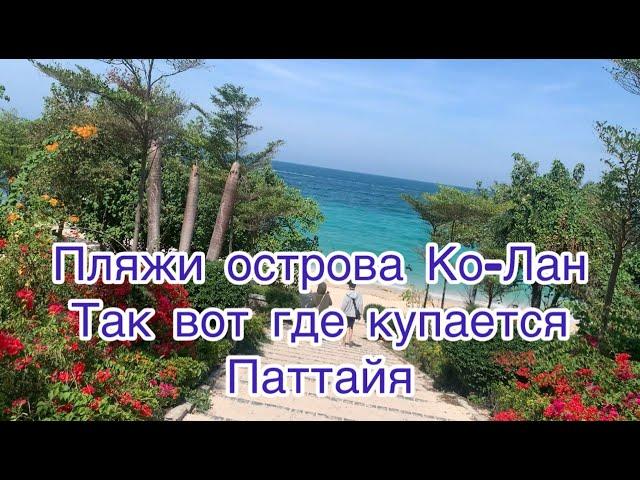 Пляжи о. Ко-Лан. Паттайя. Как добраться? Какой пляж выбрать? Есть ли жизнь под водой?