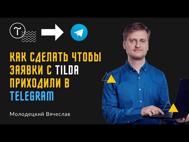 Как сделать чтобы заявки с сайта Tilda приходили в Telegram (в личку либо группу)