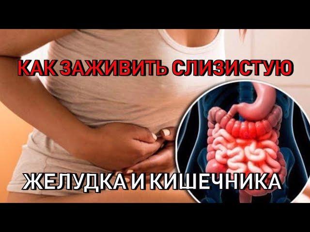 Как заживить слизистую желудка и кишечника.