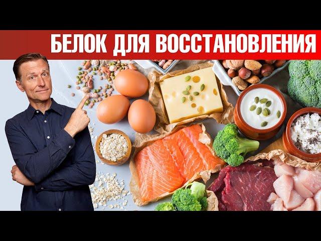 Лучший белок для восстановления организма 