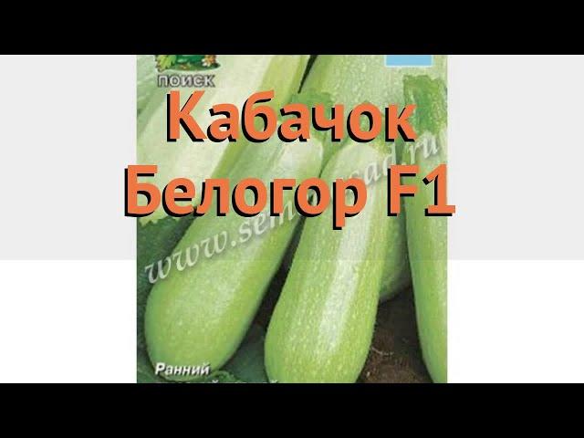 Кабачок обыкновенный Белогор F1 (belogor f1)  обзор: как сажать, семена кабачка Белогор F1