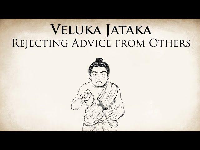 Rejecting Advice from Others | Veluka Jataka |  Animated Buddhist Stories